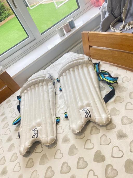  — Cricket pads - Junior