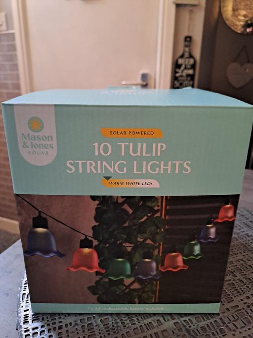  — large  box tulips solar lights
