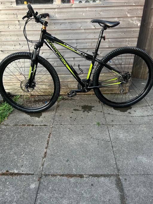  — Adult mountain bike ( DIAMONDBACK )