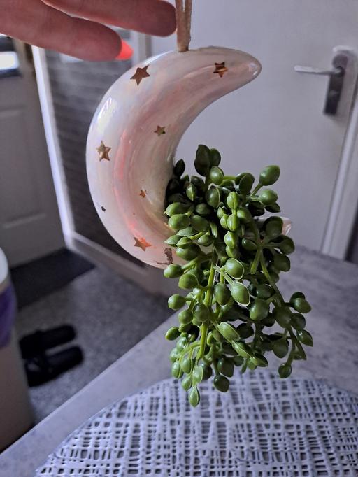  — mini hanging plant