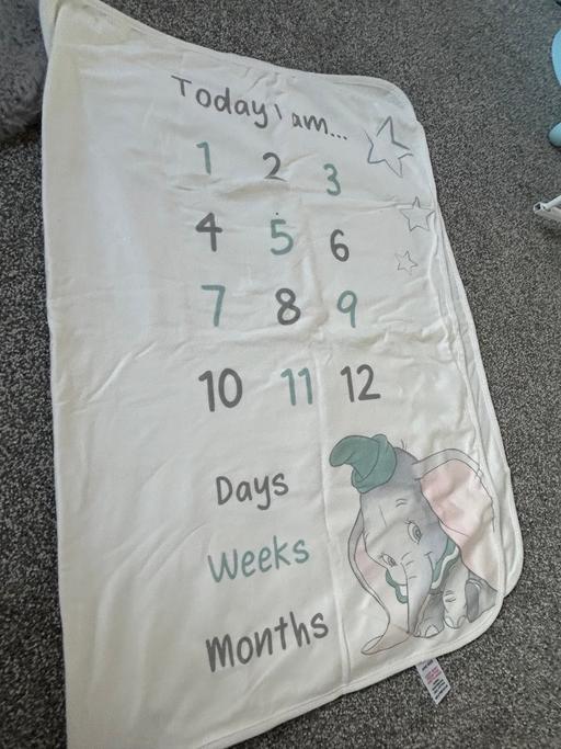  — Dumbo baby milestone mat