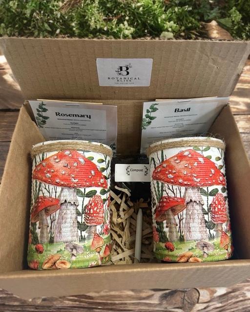  — Whimsical toadstool GYO herb garden gift set