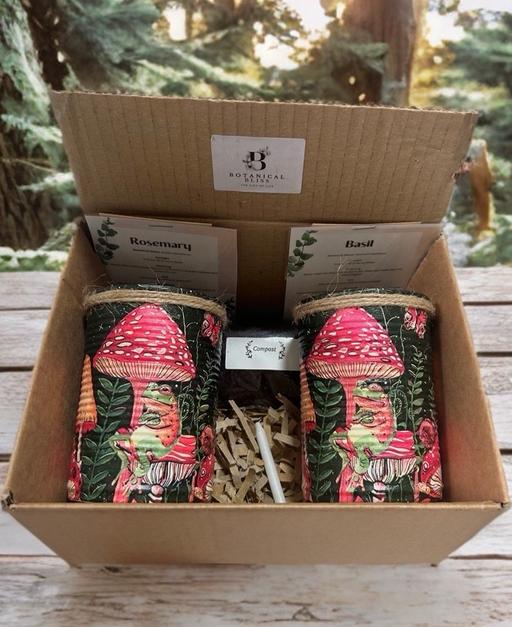  — Toad & toadstool GYO herb garden gift set