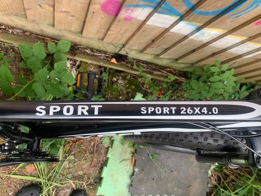  — Mountain bike