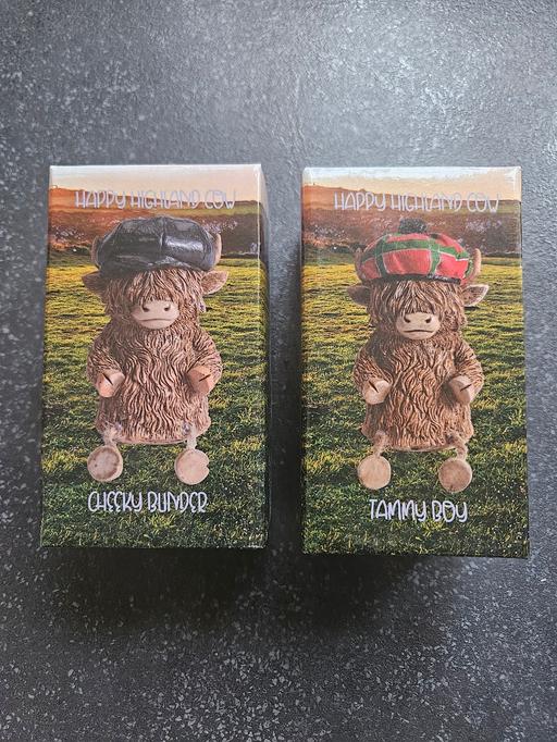  — highland cow bnib