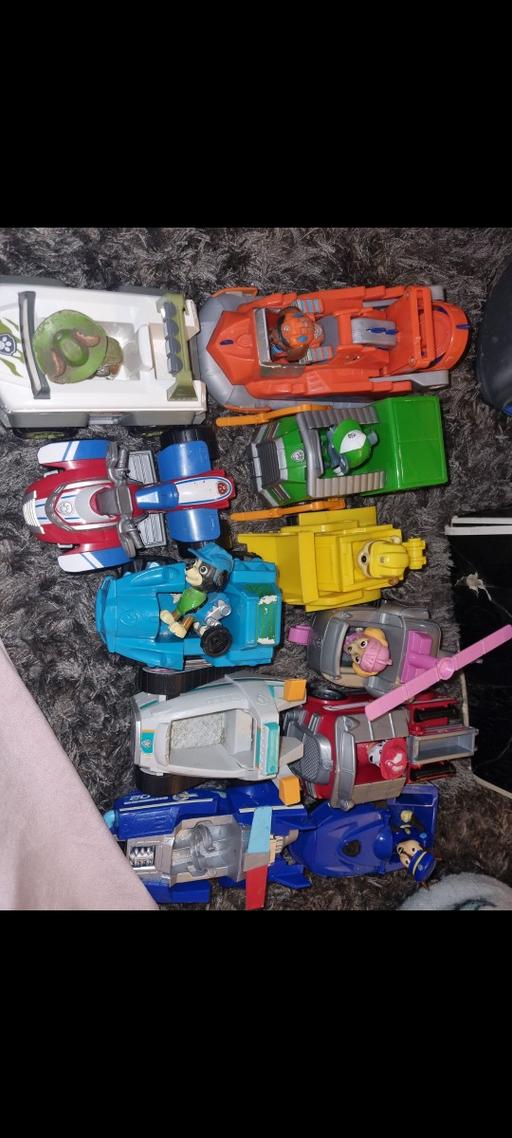  — paw patrol