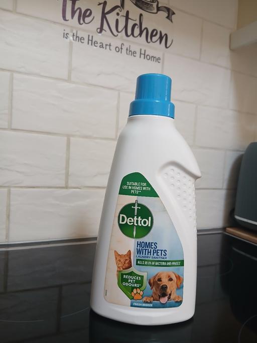  — Dettol Pet Wash New