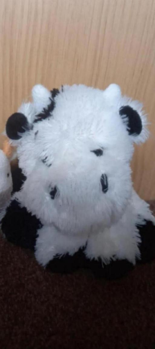  — 🐄 Cuddly Toy 🐄
