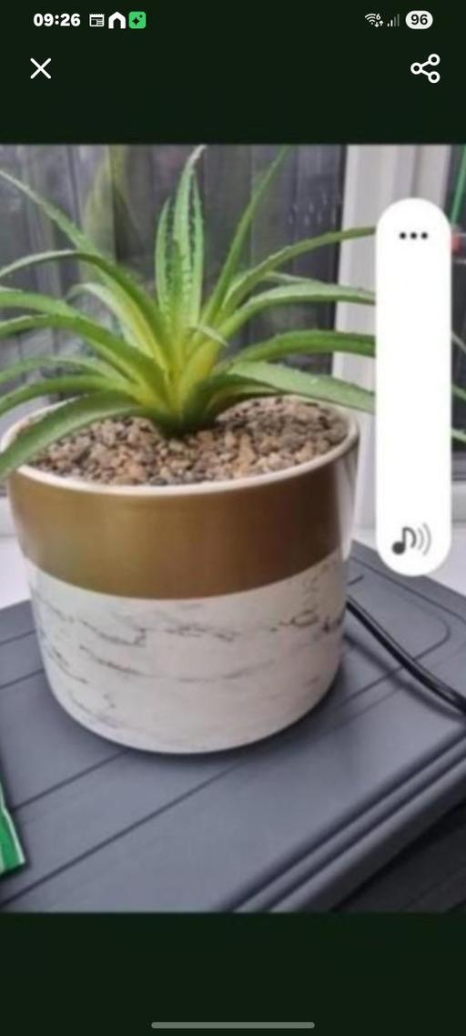  — artifial plant 