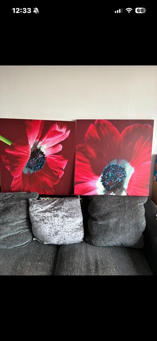 — Next large pictures