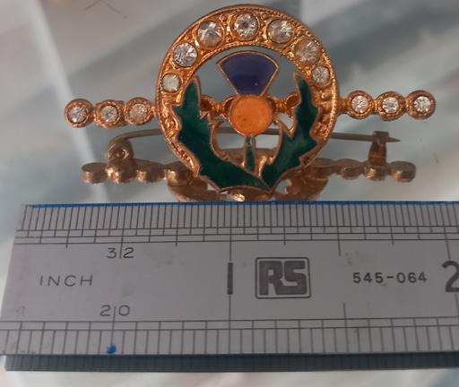  — vintage Scottish thistle bar brooch