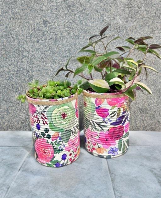  — English cottage garden herb gift set