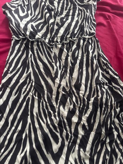  — Zebra print dress