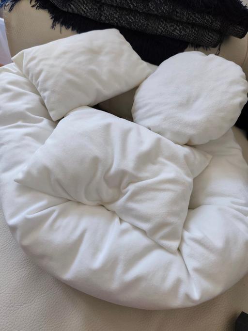  — Baby photo props