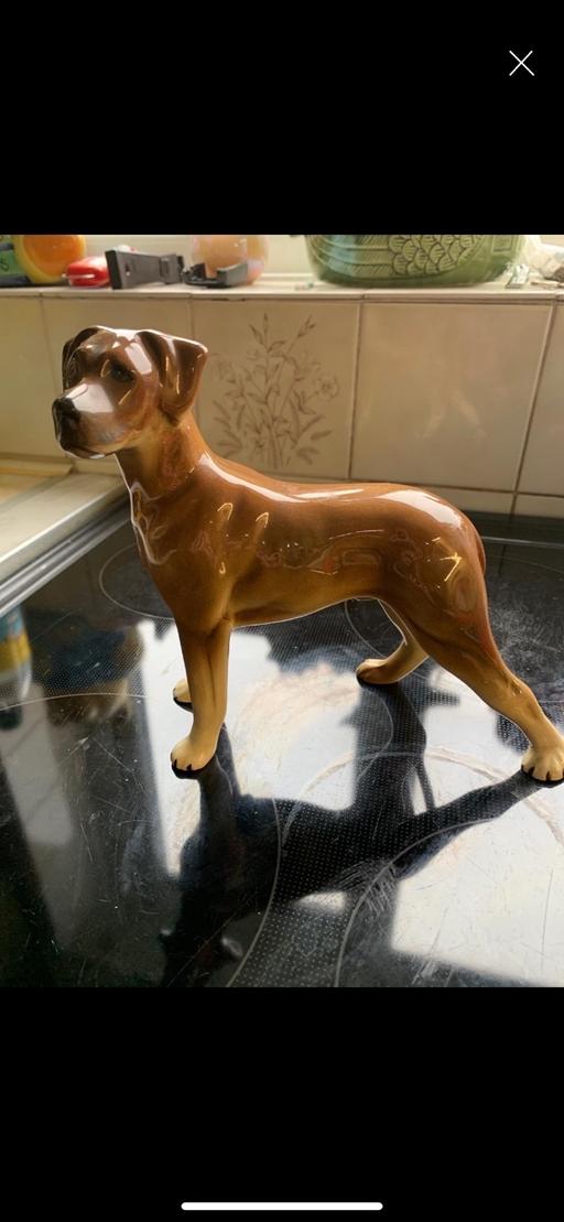 — Vintage Great Dane dog