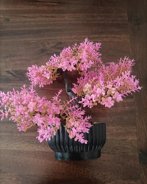  — very pink plastic bonsai