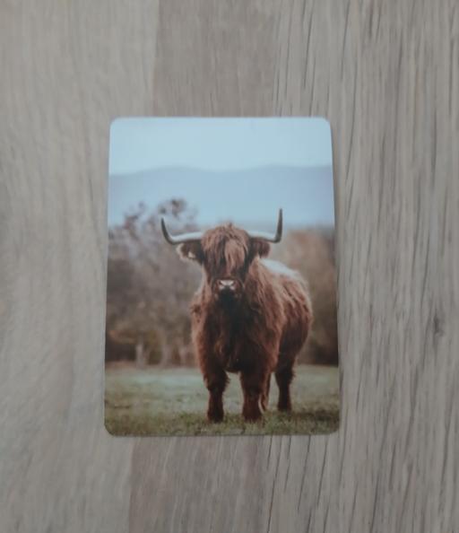  — Fridge Magnet New