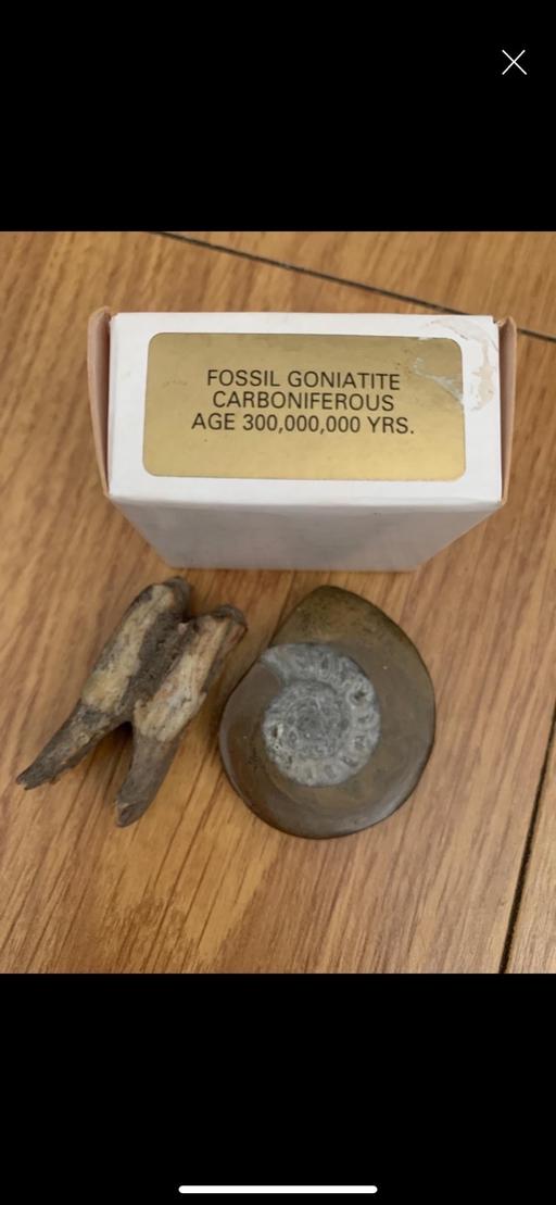  — Fossils