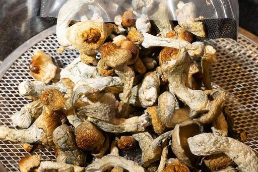  — Dried mushrooms 🎩 🪄