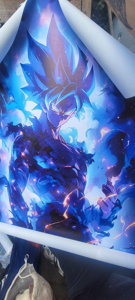  — dragon ball poster
