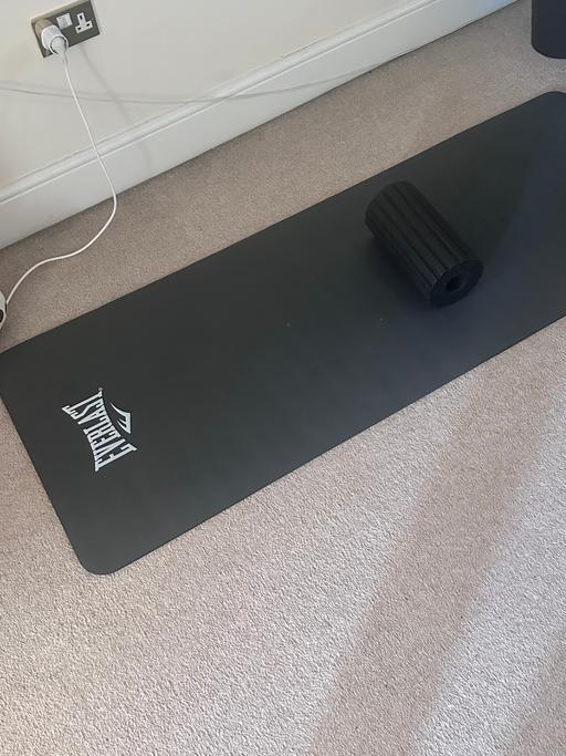  — Sport carpet and roller