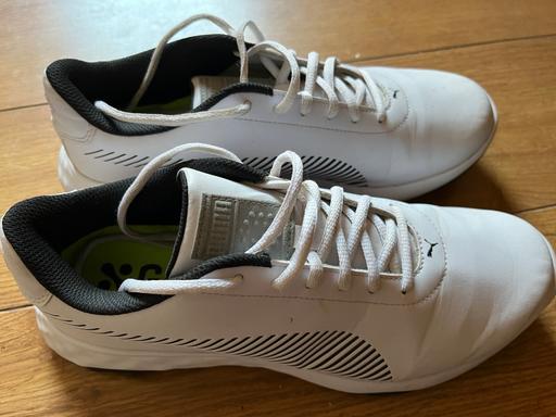  — Puma golf shoes (size9)