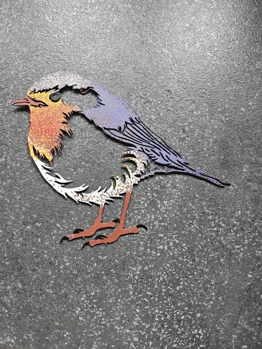  — robins