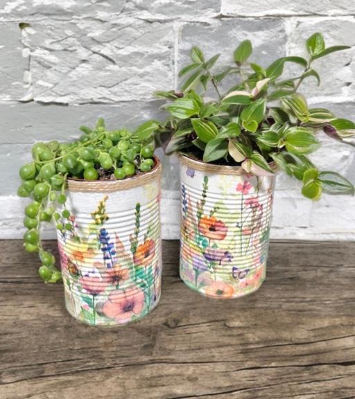 — Fresh meadow GYO herb garden gift set