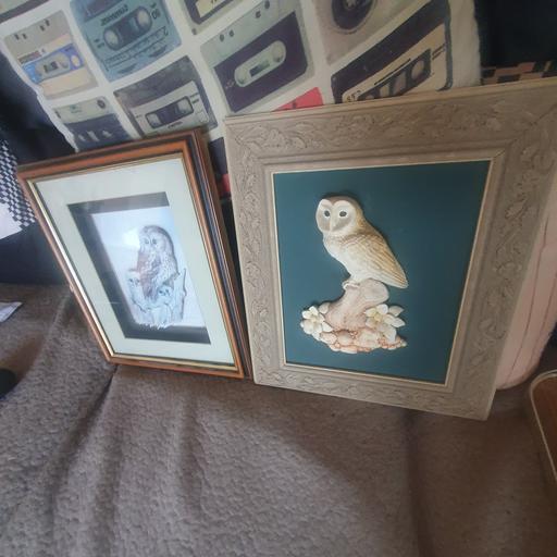  — 2 Lovely Owl Pictures , Very Stand Out , VGC