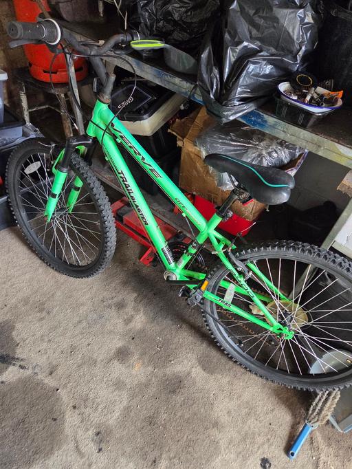  — Green trek verve bike