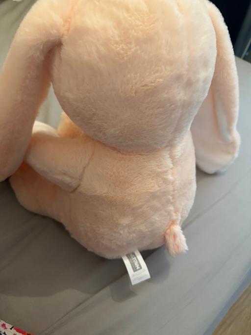  — Weighted bunny