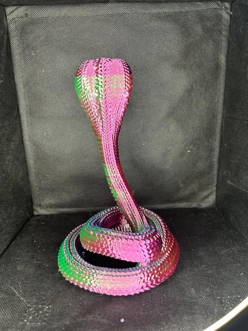  — Tri colour cobra