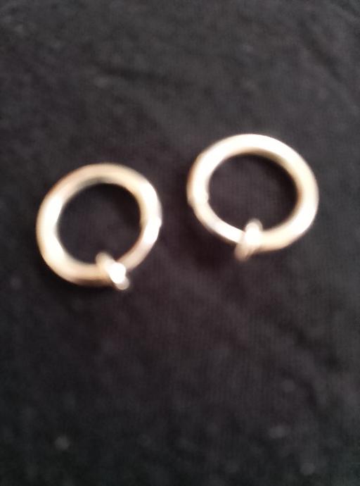  — Earrings