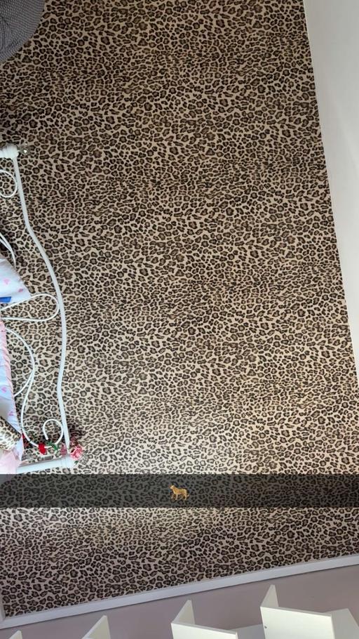  — One roll of leopard print