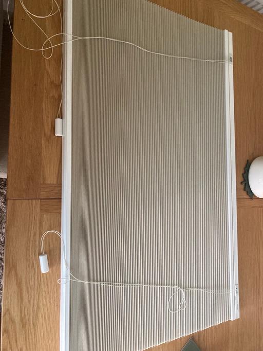  — Pleated window blind