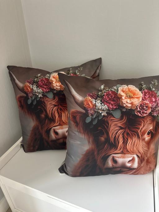  — cushions