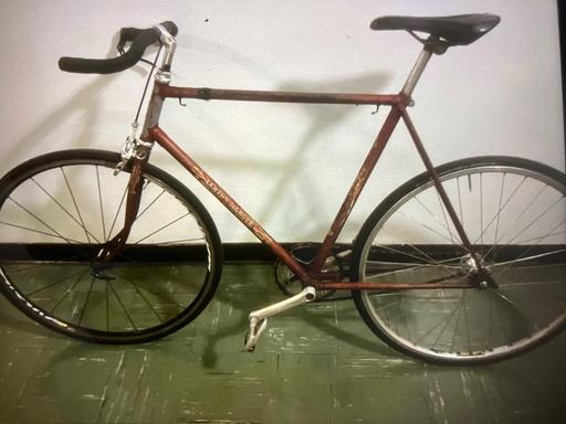  — Raleigh Lenton Marquee III vintage road bike