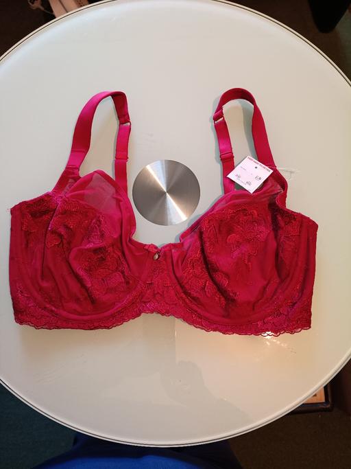 — underwire bra