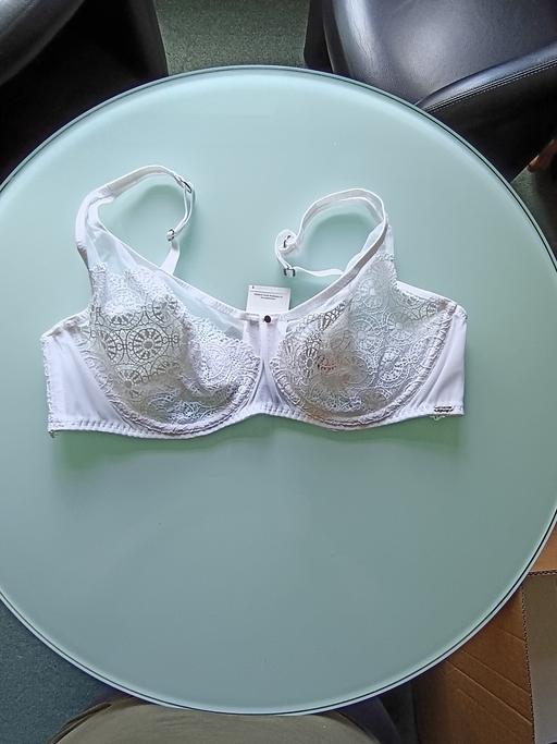  — underwire bra