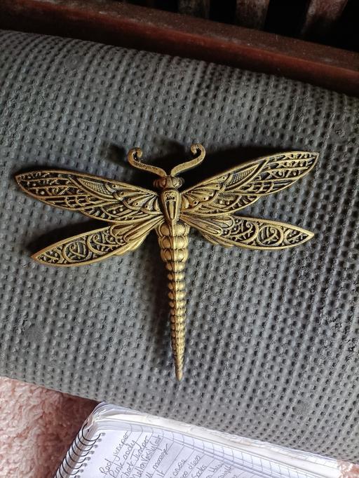  — golden dragonfly