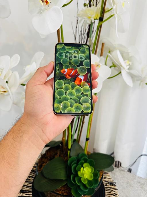  — iPhone 12 Pro 256GB Great Condition Any Sim