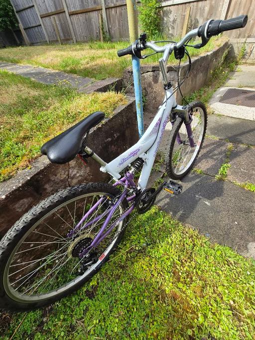  — ladies bike