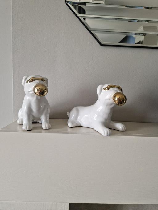  — New TK Max dogs
