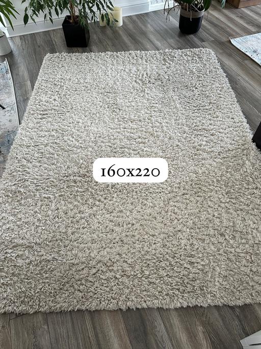  — Rug