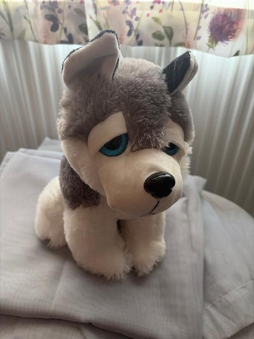  — Soft toy