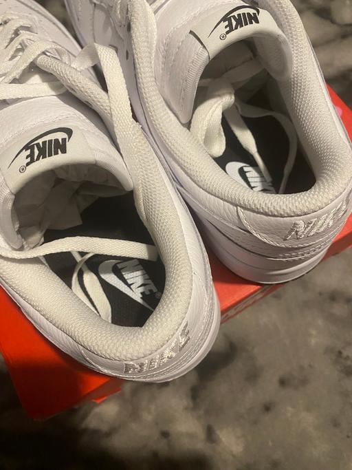  — Nike Dunks