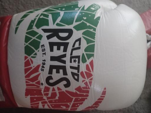  — CLETO REYES 10oz BOXING GLOVES