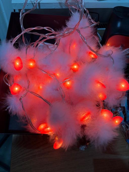  — Heart feathers lights