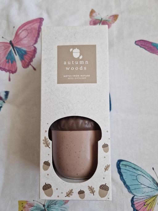  — bn acorn Reed diffuser