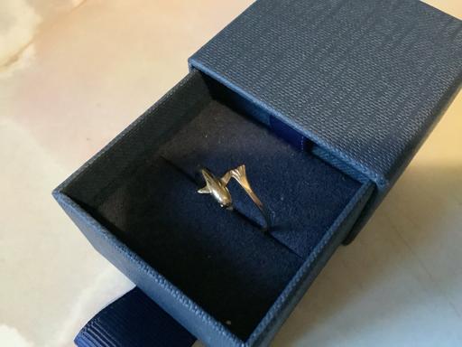  — 9 ct ring Dolfin